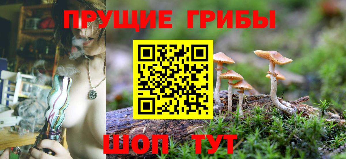 Галлюциногенные грибы Magic Shrooms Будённовск
