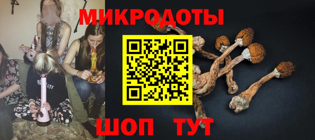 Будённовск  Галлюциногенные грибы ЛСД  Вход с VPN 